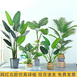 Nordic ins Style Artificial Traveler's Banana Plant Fake Green Plant Bird of Paradise Potted Plant Indoor Living Room Floor-Standing Window Decoration Landscaping
