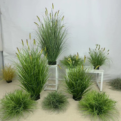 Artificial Green Plants for Landscaping, Popular Reed and Foxtail Grass for Window Display, Floor-Standing Potted Plants, Indoor Living Room Plant Decorations