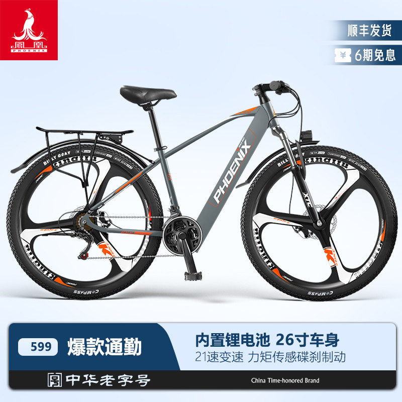 PHOENIX 電動自転車 O1CN018o9m5Z27T5E8tzNel_!!