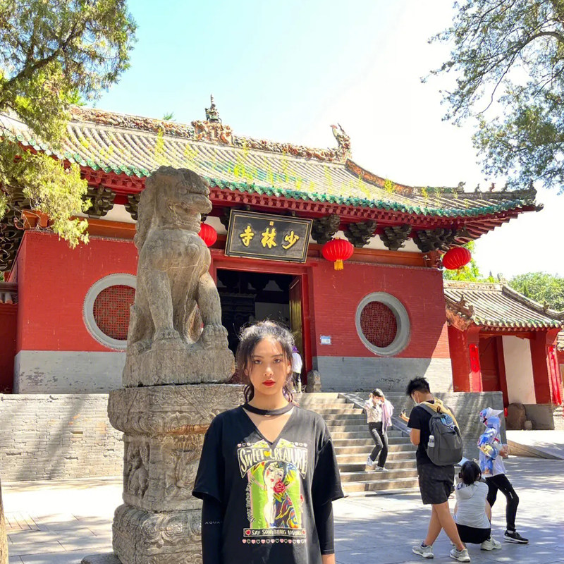 郑州洛阳出发嵩山少林寺龙门石窟跟团一日游河南周边游导游陪同讲