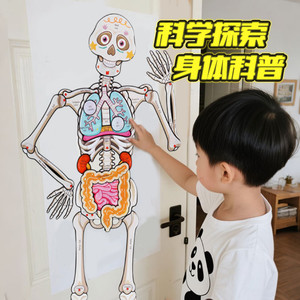 
2025 New My Bone Monster Friend Human Skeleton Three-dimensional Puzzle 3 to 6 years old and above educational children 0 to 3 years old