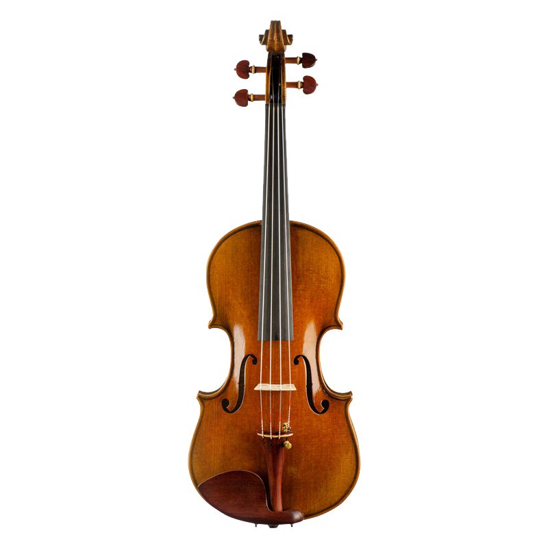 Christina MS200 Professional Viola - Spruce & Maple - 13-16.5 Inch