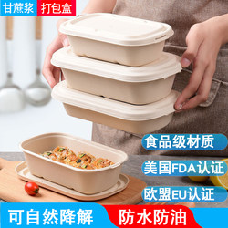 Paper Pulp Light Food Salad Mochi Hot Dog Coconut Pastry Strips Bento Takeaway Box Biodegradable Takeout Green Dumpling Croissant Compartmentalized