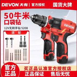 Daiyou Pocket Drill 12V Brushless Lithium Electric Drill 50 Nm Electric Hand Drill Household Multifunctional Hand Drill 5208