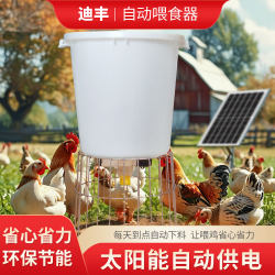 Solar-Powered Chicken Feeder, Automatic Timed Feeder, Automatic Feeder for Feeding Chickens When Away, Automatic Feed Dispenser