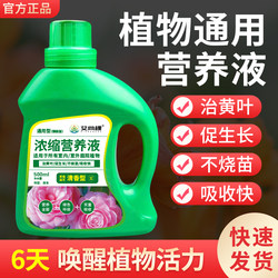 Plant nutrient solution, universal household flower cultivation, green dill, hydroponic green plant, succulent potted money tree liquid fertilizer
