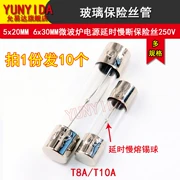 Lò vi sóng trễ điện cầu chì thổi chậm 5*20MM 6*30MM T8A/T10A 250V