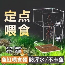 Fish Tank Feeder to Prevent Food Dispersion and Muddy Water, Fish Food Feeder, Feeding Ring for Fish, Fixed-Point Feeding