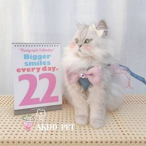 
Fairy style cat and dog vest-type leash for small and medium-sized dogs, dog walking, cat walking rope, pet harness, pet supplies