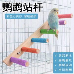 Parrot grinding claw roster frightening bird standing rod stand stick standing tiger skin and phoenix peony special grinding mouth stone toy supplies