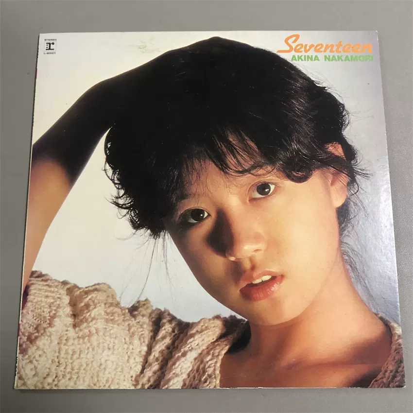 中森明菜/AKINA-