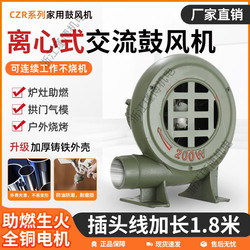 Blower for Home Use, Small Barbecue Blower, Wood Stove, Industrial Powerful Blower, Combustion Aid for Waste Oil Furnace