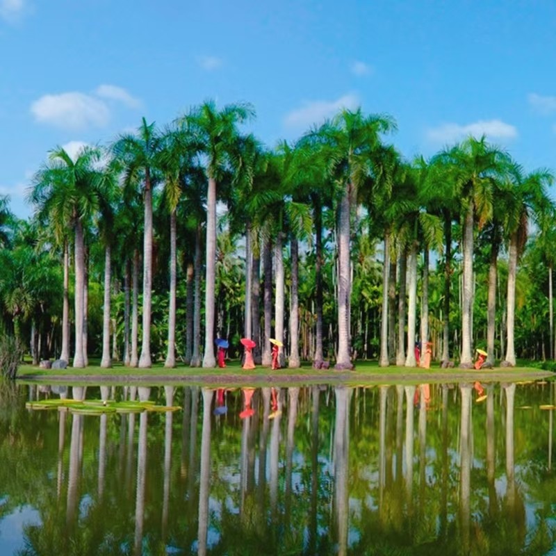 大咖说®西双版纳中科院植物园讲解2h精讲12人团云南纯玩旅游团