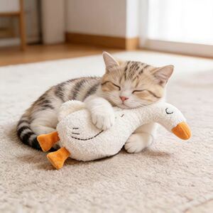 
Cat and dog toy, small dog relief artifact, plush sleeping doll, self-pleasure, bite-resistant and molar companion dog supplies