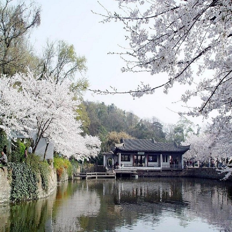 杭州出发 乌镇+杭州+千岛湖+苏州+无锡+南京6天5晚跟团游 无购物