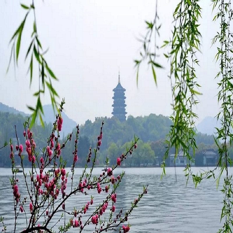 【上海出发南京散团】夜游上海+乌镇+杭州+苏州+扬州+南京6日游