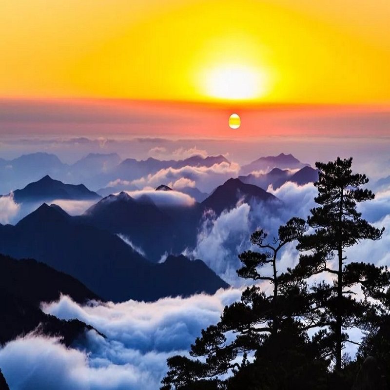 上海高铁往返【纯玩】黄山风景区2天1晚跟团游 宿市区高档型酒店