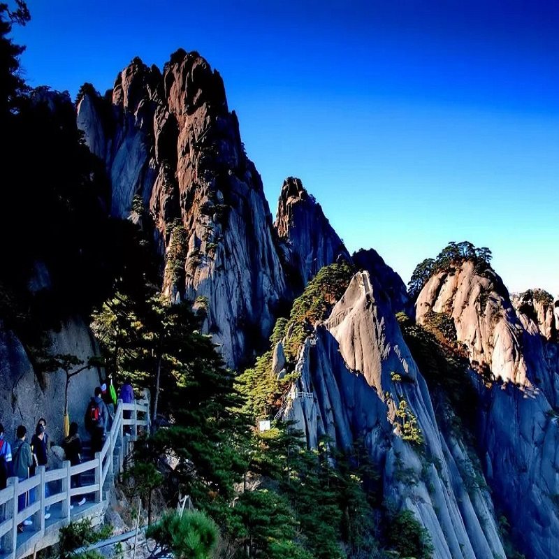 上海高铁往返【纯玩】黄山风景区2天1晚跟团游 宿市区高档型酒店