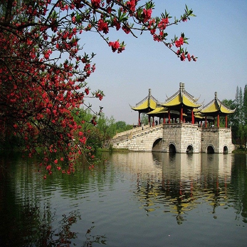 【上海出发南京散团】夜游上海+乌镇+杭州+苏州+扬州+南京6日游