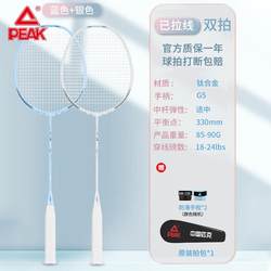 Badminton Racket Pair, Titanium Alloy, Ultra-Light, Professional Training, Offensive Sports Equipment, Durable for Adults