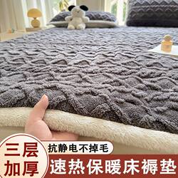 Winter Home Bedroom Mattress Thickened Warm Bed Pad Soft Cushion Quilt Taffeta Dormitory Student Single Foldable