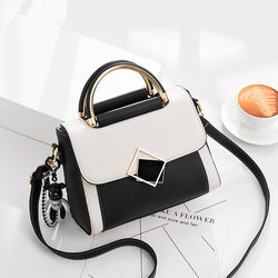 Niche Luxury High-End Bags for Women 2025 Summer New Trendy Fashion Versatile Handbags Single Shoulder Crossbody Small Bags