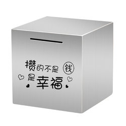 Stainless Steel Piggy Bank, Large Capacity, Only In, No Out, Anti-Fall, Creative Money Storage Bank for Boys and Girls