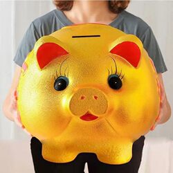 Piggy Bank That Only Goes in and Not Out, 2026 New Model, Large Capacity, Creative Gold Pig Money Bank for Boys