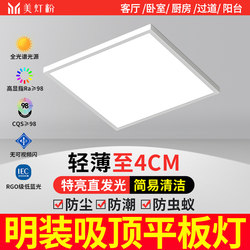 Surface-Mounted Led Panel Light Integrated Ceiling Light Simple Modern Ceiling Light for Living Room Hallway Corridor Ceiling Lighting Fixtures