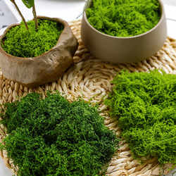 Simulated moss silk for micro-landscape decoration