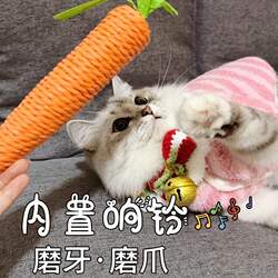 Simulated Carrot Cat Teaser Stick Toy, Durable and Bite-Resistant, for Teeth and Claw Cleaning, Interactive Pet Toy for Cats