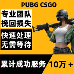 Pubg/Playerunknown's Battlegrounds/Eat Chicken/Steam/Return to the Field/Permanently Banned