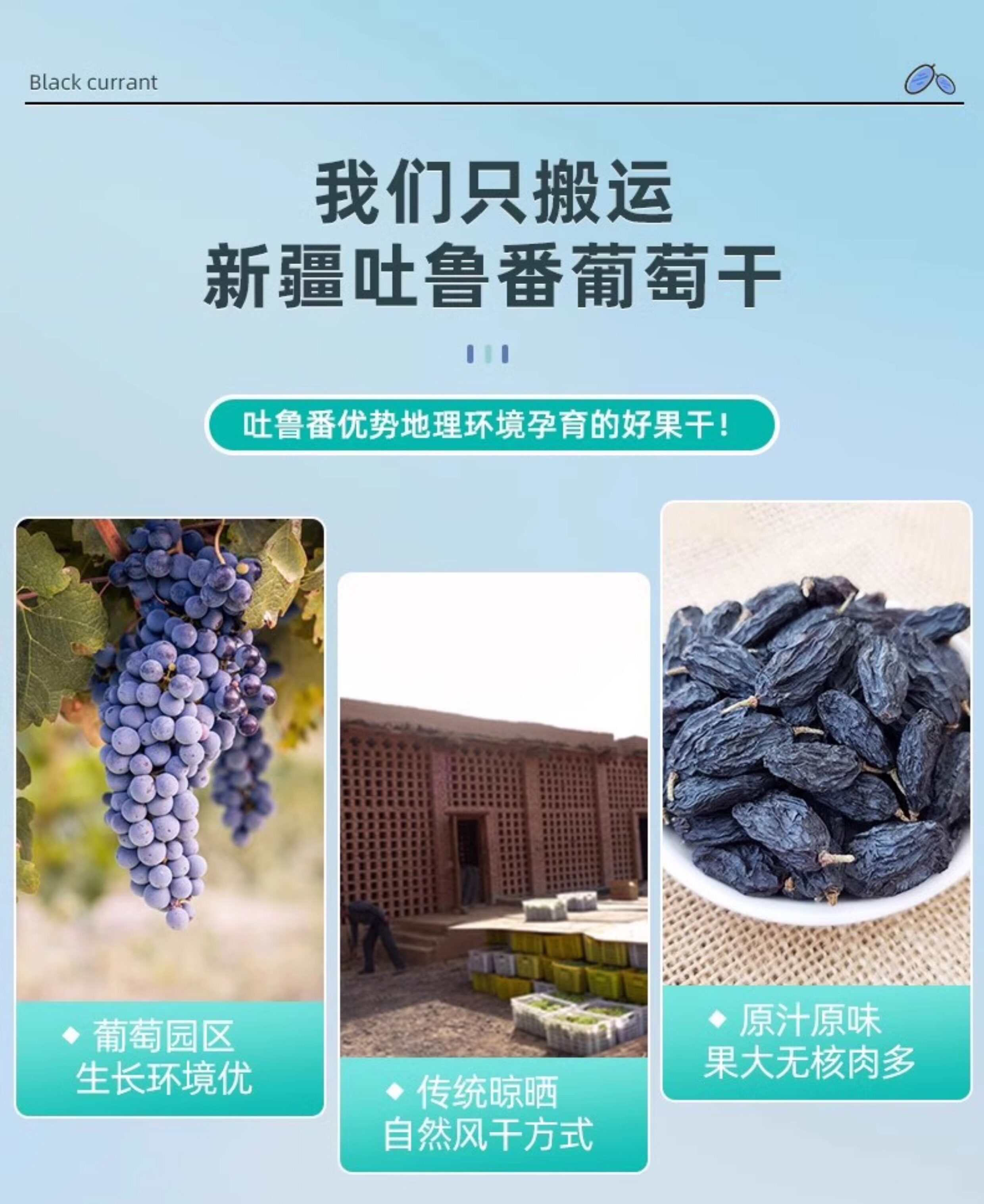 Xinguojie Siyah Frenk Üzümü - 250g Xinjiang Kurutulmuş Meyve