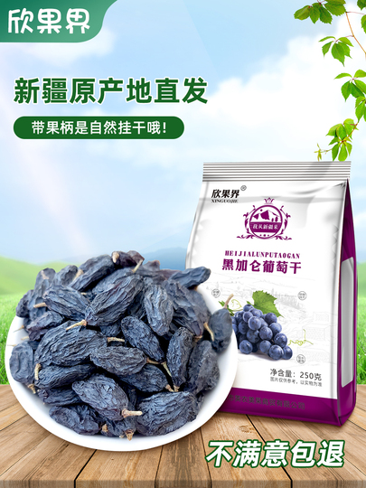 Xinguojie Siyah Frenk Üzümü - 250g Xinjiang Kurutulmuş Meyve