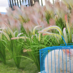 New Single Artificial Green Plant, Dog Tail Grass, Fake Reed, Camping Style Wheat Ears, Landscaping, Flower Arrangement, Decorative Ornament