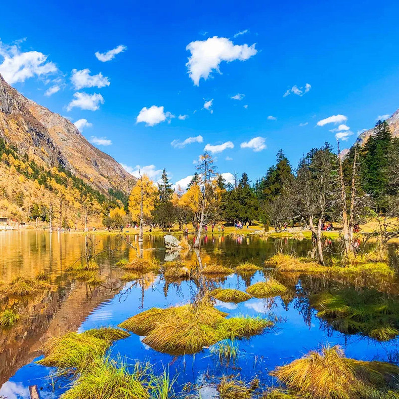 成都理县 毕棚沟/甘堡藏寨 一日游 冬季赏雪 纯玩 含景区门票