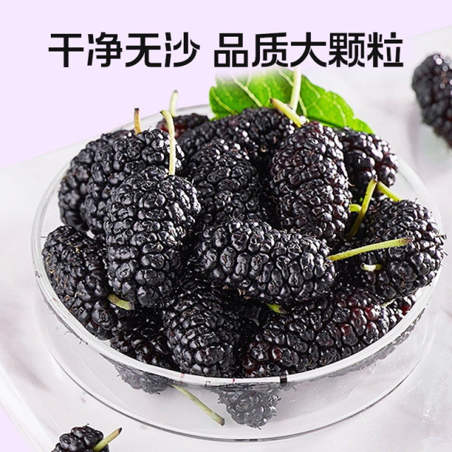 Baiyunshan Yingkang black mulberry dry soaked water mulberry tea ...