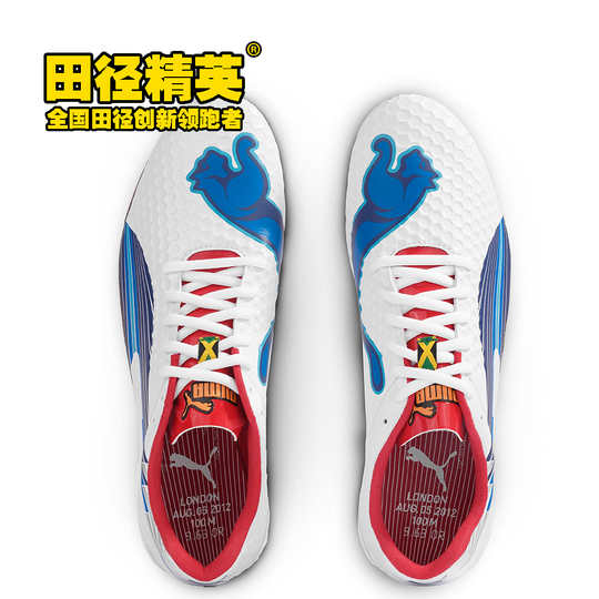 footsteps～10th Anniversary Complete Bes… Amazon.com: TCMT Rear Passenger Foot Pegs Bracket Set Fit