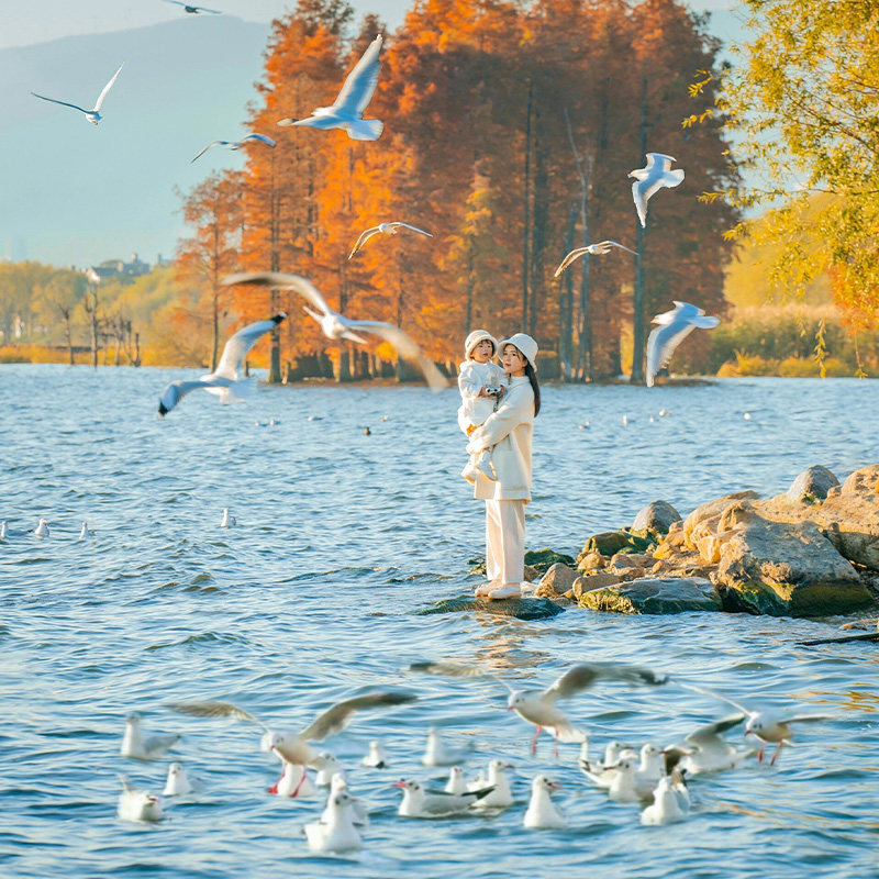 五星酒店含机票0自费云南旅游昆明大理丽江6天5晚跟团游飞猪旅行