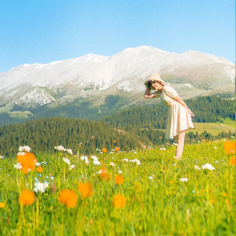 【住5钻海景酒店】云南旅游丽江大理香格里拉6天5晚跟团游