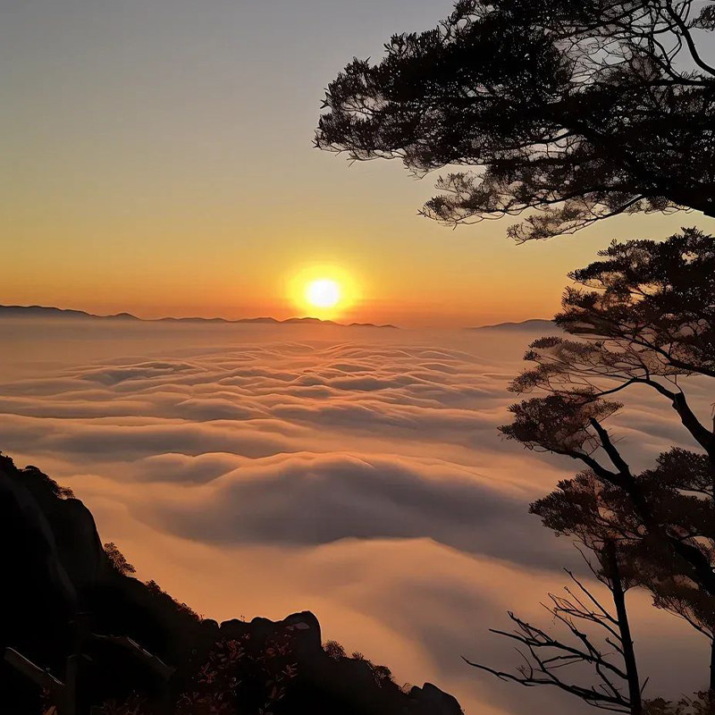 周边游私家团|泰山岱庙曲阜三孔(孔府孔庙孔林)尼山圣境3天2晚