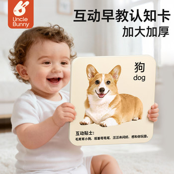 [Enlarged and thickened] Early education cognitive cards