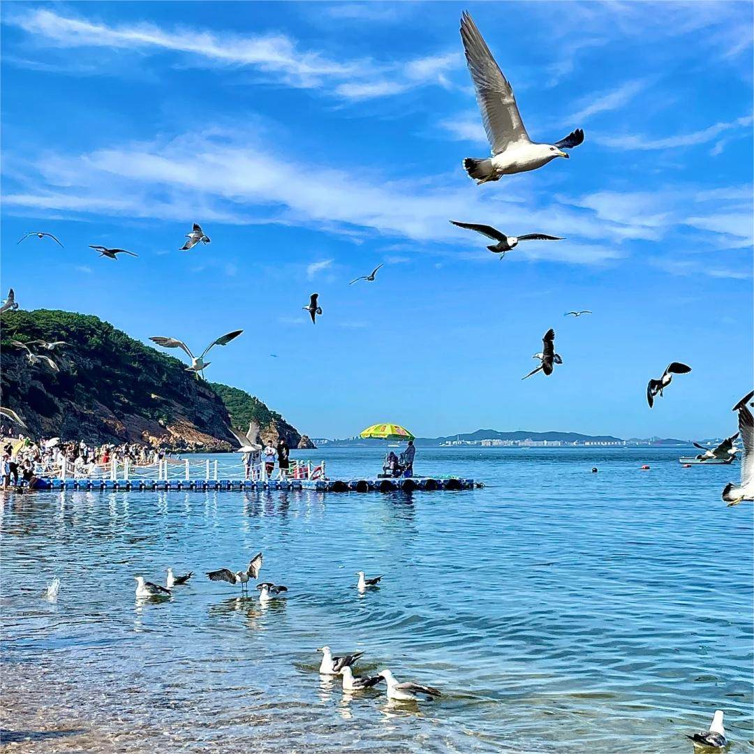 【高铁参团】烟台一地4天3晚私家团 一单一团 0购物0自费