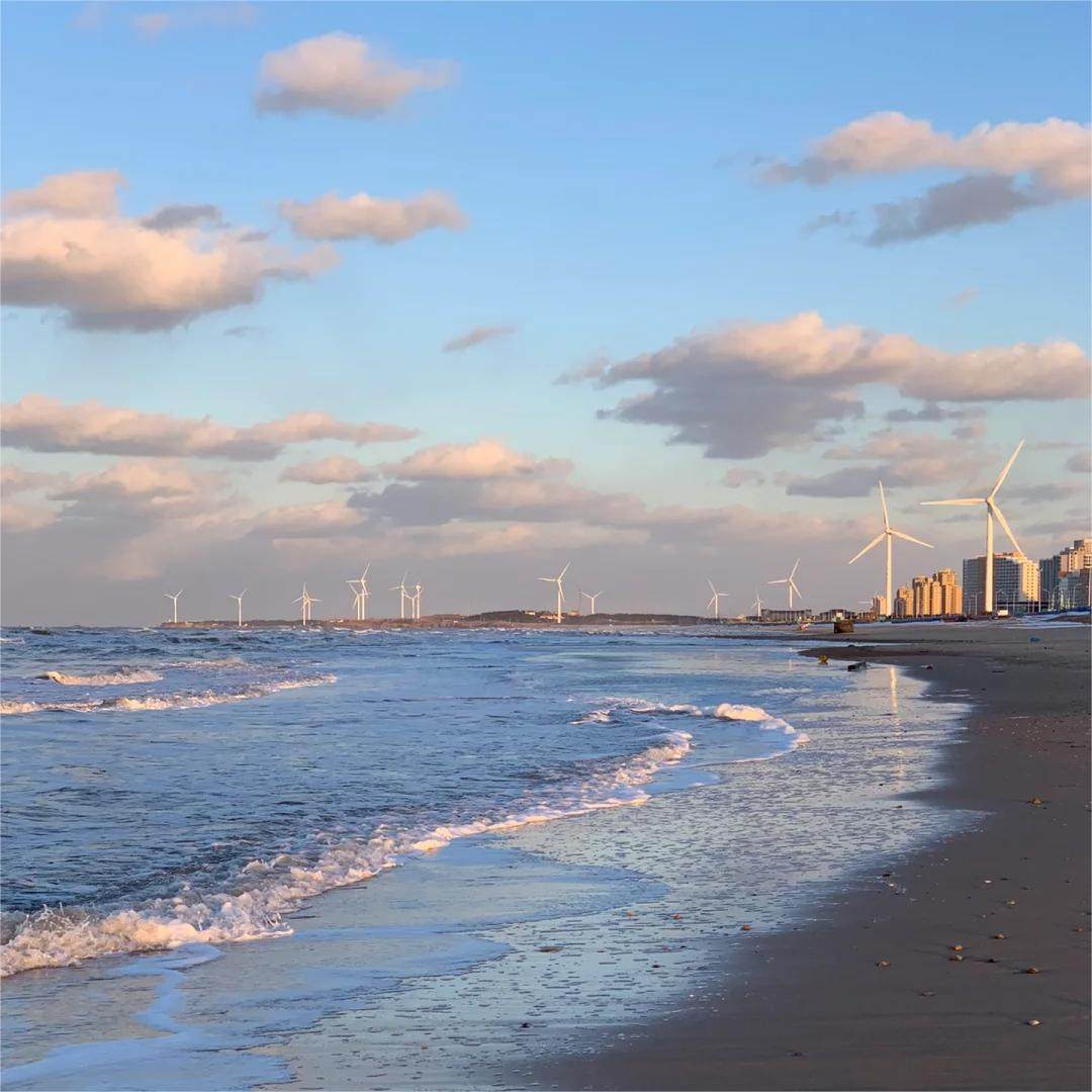 青岛+威海 5日4晚私家团 1单1团 0购物0自费丨双城高铁联运