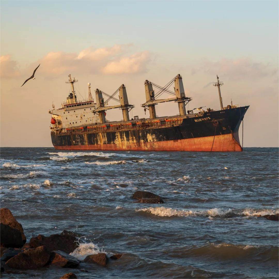 青岛+威海 5日4晚私家团 1单1团 0购物0自费丨双城高铁联运