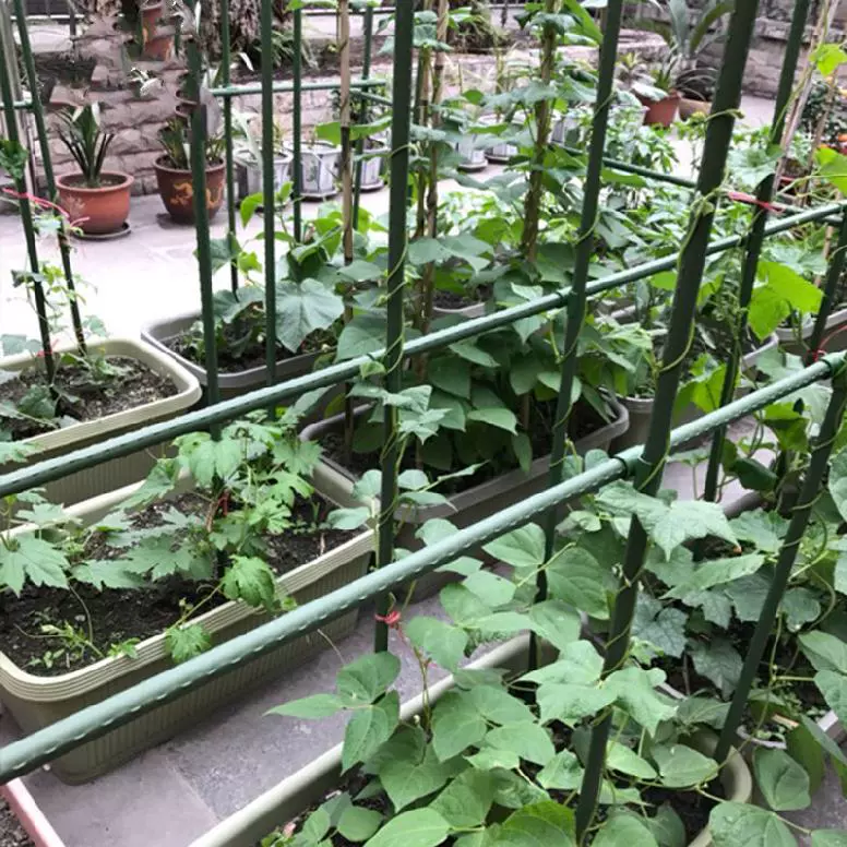 葡萄架爬藤架花坛包塑料管绿植瓜棚丝瓜阳台葡萄