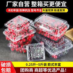 Disposable Fruit Packaging Box 500g 0.5kg Pack Plastic Fruit Packaging Box with Lid Transparent Commercial Blueberry Box