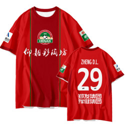 2026 Henan Club Caotafang Team Uniform Player Version Football Clothing Quick-Drying Short-Sleeved T-Shirt for Men and Women