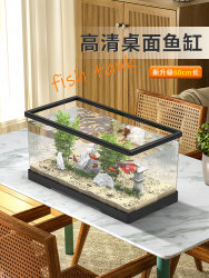 Small fish tank home desktop living room TV