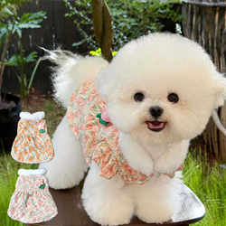 Pet Dog Clothes Princess Dress for Bichon Small Dogs, Autumn/Winter/Spring/Summer Style, New Cute Design for Going Out, Can Be Used with a Leash